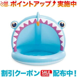 N[|zz(INTEX)CebNX ARE xr[v[