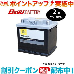 �N�[�|���z�z����(G&Yu) �y2�Z�b�g�̔��z HELLA XCELERATE �V���[�Y (���B��) 55066 ���k�C���A���ꌧ�̌l��l�ւ̔z���s��