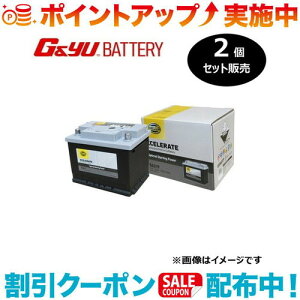 �N�[�|���z�z����(G&Yu) �y2�Z�b�g�̔��z HELLA XCELERATE �V���[�Y (���B��) 56219 ���k�C���A���ꌧ�̌l��l�ւ̔z���s��