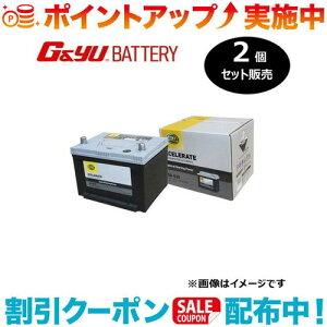 �N�[�|���z�z����(G&Yu) �y2�Z�b�g�̔��z HELLA XCELERATE �V���[�Y(�č���) 58-530 ���k�C���A���ꌧ�̌l��l�ւ̔z���s��