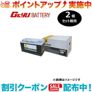 �N�[�|���z�z����(G&Yu) �y2�Z�b�g�̔��z HELLA XCELERATE �V���[�Y (���B��) 60044 ���k�C���A���ꌧ�̌l��l�ւ̔z���s��