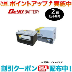 �N�[�|���z�z����(G&Yu) �y2�Z�b�g�̔��z HELLA XCELERATE �V���[�Y(�č���) 65-660 ���k�C���A���ꌧ�̌l��l�ւ̔z���s��