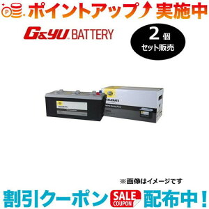 �N�[�|���z�z����(G&Yu) �y2�Z�b�g�̔��z HELLA XCELERATE �V���[�Y (���B��) 68032 ���k�C���A���ꌧ�̌l��l�ւ̔z���s��
