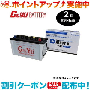 �N�[�|���z�z����(G&Yu) �y2�Z�b�g�̔��z PRO HEAVY-D�V���[�Y HD-130E41L (�t���L���b�v�^�C�v) ���k�C���A���ꌧ�̌l��l�ւ̔z���s��