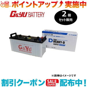 �N�[�|���z�z����(G&Yu) �y2�Z�b�g�̔��z PRO HEAVY-D�V���[�Y HD-130F51 (�t���L���b�v�^�C�v) ���k�C���A���ꌧ�̌l��l�ւ̔z���s��
