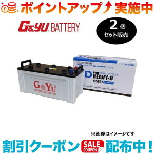 �N�[�|���z�z����(G&Yu) �y2�Z�b�g�̔��z PRO HEAVY-D�V���[�Y HD-195G51 (�t���L���b�v�^�C�v) ���k�C���A���ꌧ�̌l��l�ւ̔z���s��