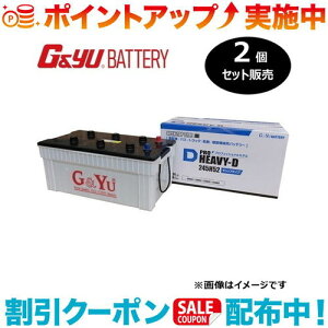 �N�[�|���z�z����(G&Yu) �y2�Z�b�g�̔��z PRO HEAVY-D�V���[�Y HD-245H52 (�t���L���b�v�^�C�v) ���k�C���A���ꌧ�̌l��l�ւ̔z���s��