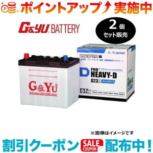 �N�[�|���z�z����(G&Yu) �y2�Z�b�g�̔��z PRO HEAVY-D�V���[�Y HD-D23R (�t���L���b�v�^�C�v) ���k�C���A���ꌧ�̌l��l�ւ̔z���s��