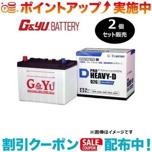 �N�[�|���z�z����(G&Yu) �y2�Z�b�g�̔��z PRO HEAVY-D�V���[�Y HD-D26L (�t���L���b�v�^�C�v) ���k�C���A���ꌧ�̌l��l�ւ̔z���s��
