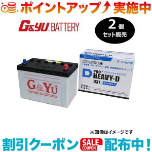 �N�[�|���z�z����(G&Yu) �y2�Z�b�g�̔��z PRO HEAVY-D�V���[�Y HD-D31L (�t���L���b�v�^�C�v) ���k�C���A���ꌧ�̌l��l�ւ̔z���s��