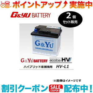�N�[�|���z�z����(G&Yu) �y2�Z�b�g�̔��z ecoba HV�V���[�Y �t���^�C�v�v���E�X�� (HV-L1 ���t���L���b�v�^�C�v) ���k�C���A���ꌧ�̌l��l�ւ̔z���s��