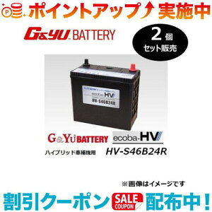 �N�[�|���z�z����(G&Yu) �y2�Z�b�g�̔��z ecoba HV�V���[�Y AGM�^�C�v HV-S46B24R ���k�C���A���ꌧ�̌l��l�ւ̔z���s��