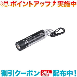 �N�[�|���z�z����(Nextorch)�l�N�X�g�[�` K40