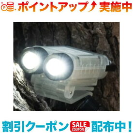 クーポン配布中☆(5050WORKSHOP) MICROLight DUAL (GLOW IN THE DARK SKELTON)
