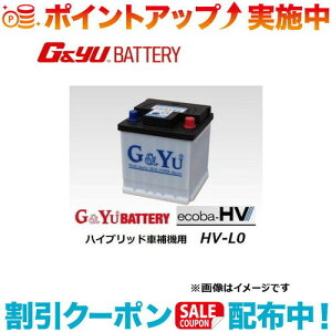 N[|zz(G&Yu) ecoba HVV[Y t^CvvEX (HV-L0 Z~V[h^Cv) kCAꌧ̌llւ̔zs