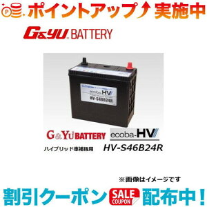 �N�[�|���z�z����(G&Yu) ecoba HV�V���[�Y AGM�^�C�v HV-S46B24R ���k�C���A���ꌧ�̌l��l�ւ̔z���s��