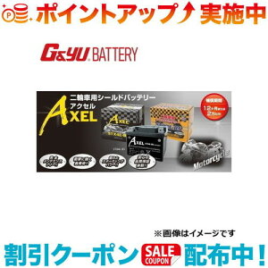 �N�[�|���z�z����(G&Yu) �o�C�N�pAXEL(�A�N�Z��)�V���[�Y STZ10S ���k�C���A���ꌧ�̌l��l�ւ̔z���s��