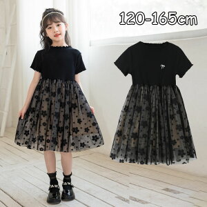 LbY s[X ̎q w tH[}    s[X q vZX ؍q sAm \ ̎q H tH LbY t LbY tH[} K[Y tH[