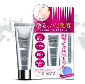 針美容 ニードルクリーム エクスプレス 25g 日本製 マイクロトリートメントクリームAS スキンケア ハリ たるみ 弾力 ツヤ感 うるおい 保湿 乾燥肌 美容クリーム 保湿クリーム マイクロニードルクリーム 40代 50代 60代 プレゼント