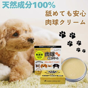 N[ 15g  L PA ~ Y  یN[ VR݂낤 Y ~cE ݂낤N[  ybgp Ki t[O ]|h~ VjA  ^  