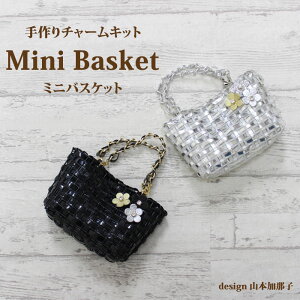 MIni basket �~�j�o�X�P�b�g���C���[�o�b�O ����L�b�g ����t��