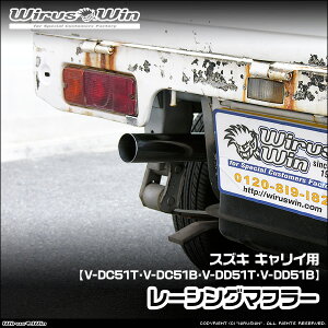 WirusWin ECYEB XYL LCiL[jp [VO}t[ ԑ̌^F V-DC51T V-DC51B V-DD51T V-DD51B GW^FF6A wbhCg` p A}t[S 147cm SUS304 