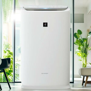 V[v  C@ KI-TS50-W vY}NX^[ 25000 V E t EBX ԕ C É ^X  600mL/h