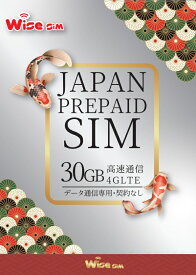【WISE SIM】日本SIM au回線データ容量30GB データ通信専用 プリペイドSIM KDDI ローミング回線 日本プリペイドSIM ※有効期限2026年12月31日まで