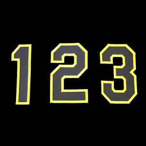 yv싅@_^CK[XObYzԍbyi2014NŁECG[j