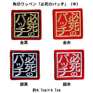 yv싅@_^CK[XObYzp󃏃byuK̃pb`vij