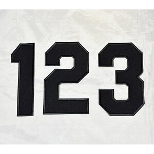 yv싅@_^CK[XObYzwԍbyisŁEnj