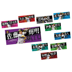 yv싅@_^CK[XObYz2024ItHg^I