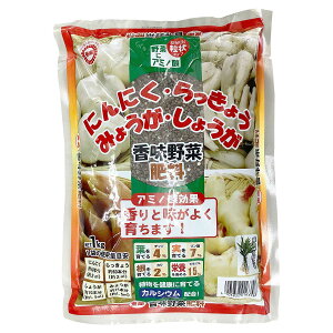 엿 ؔ엿 1kg  ɂɂ 傤 ݂傤 傤 엿  엿 A~m_ 엿  엿   엿 JVE 엿 ؔ엿