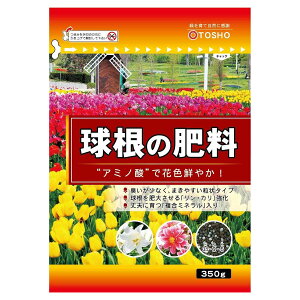 ̔엿 350g  엿  엿 `[bv 엿 qVX 엿 XCZ 엿  엿 Ԃ̔엿 엿 z엿 M2