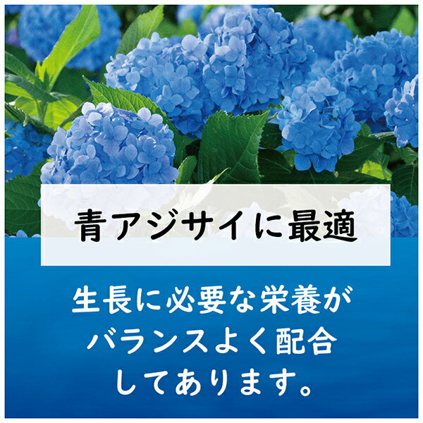楽天市場 東商 肥料 青アジサイの肥料 500g ワイズライフ 楽天市場 東商 肥料 青アジサイの肥料 500g ワイズライフ