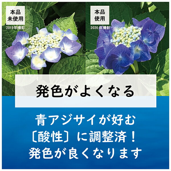楽天市場 東商 肥料 青アジサイの肥料 500g ワイズライフ 楽天市場 東商 肥料 青アジサイの肥料 500g ワイズライフ