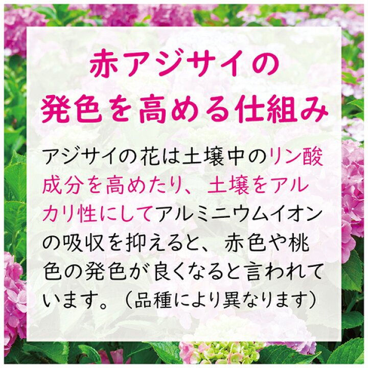 最大57%オフ! 東商 赤アジサイの肥料 500g 最大57%オフ! 東商 赤アジサイの肥料 500g