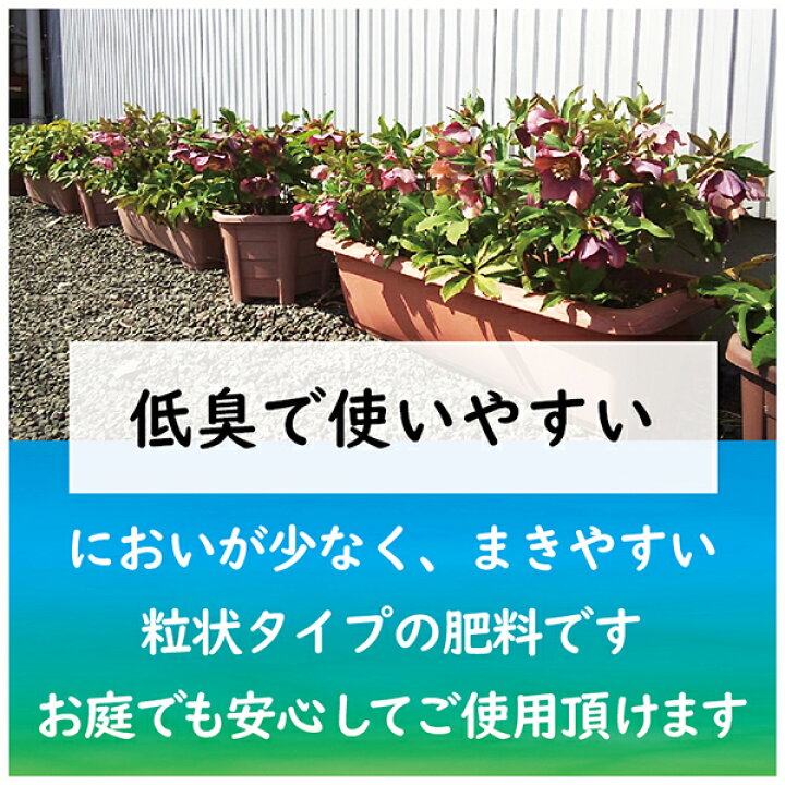 楽天市場 クリスマスローズ クレマチスの肥料 500g 東商 肥料 ワイズライフ