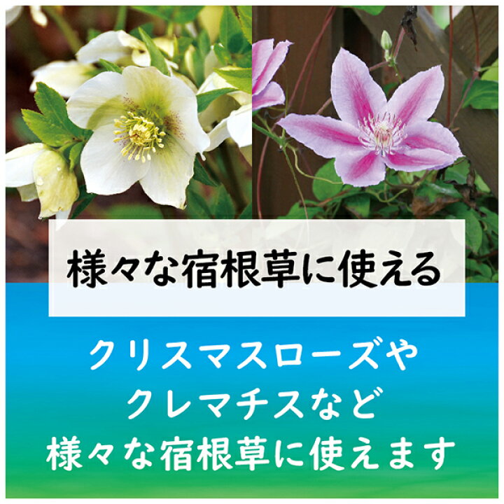 楽天市場 クリスマスローズ クレマチスの肥料 500g 東商 肥料 ワイズライフ