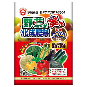 엿 ؂鉻엿 500g  엿  엿 ؔ엿 ؂̔엿 엿  엿 悤 엿 A~m_ 엿    ǔ M1