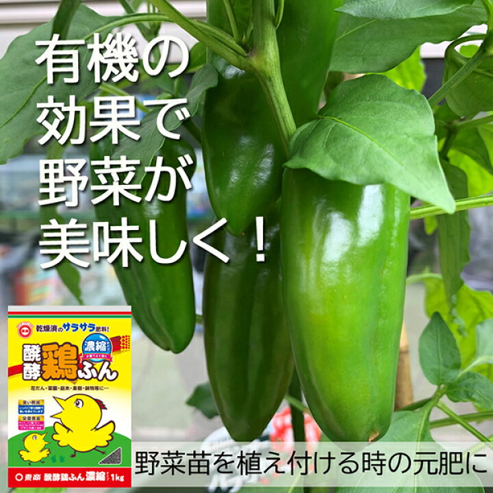 楽天市場】醗酵鶏ふん 濃縮タイプ 1kg 東商 乾燥済のサラサラ肥料 : ワイズライフ 楽天市場】醗酵鶏ふん 濃縮タイプ 1kg 東商 乾燥済のサラサラ肥料 : ワイズライフ