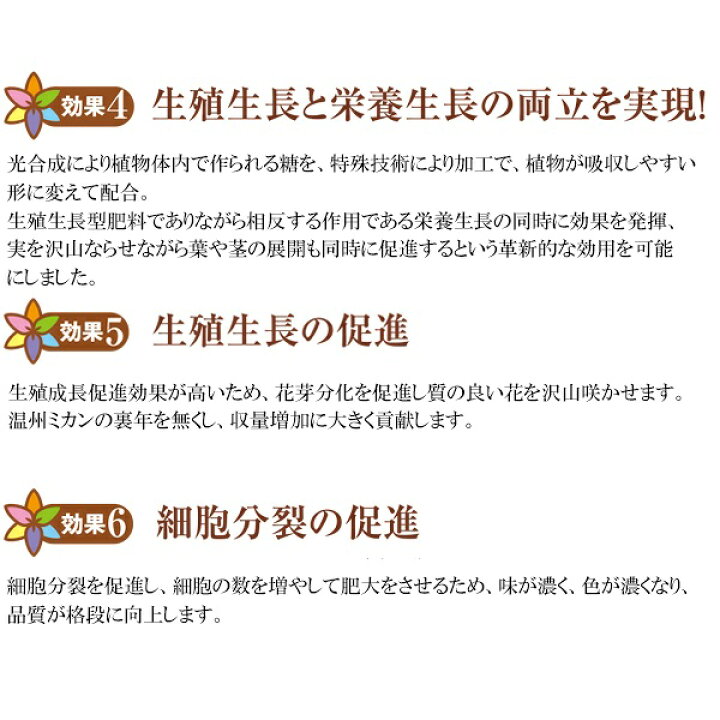 楽天市場 甘彩六花 液体肥料 甘彩六花 アマイロリッカ 5kg 代金引換不可 送料無料 ワイズライフ 楽天市場 甘彩六花 液体肥料 甘彩六花 アマイロリッカ 5kg 代金引換不可 送料無料 ワイズライフ