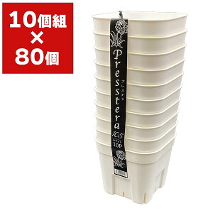 vXe 105^ 10g AbvEFA[ c|bg ||bg c |bg   Xbg ϗtA  A  Xbg