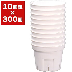 S|bg 60^ 10g AbvEFA[ c|bg ||bg c |bg   Xbg ϗtA  A  Xbg