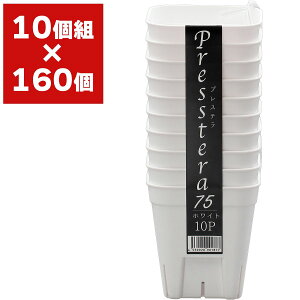 vXe 75^ 10g AbvEFA[ c|bg ||bg c |bg   Xbg ϗtA  A  Xbg