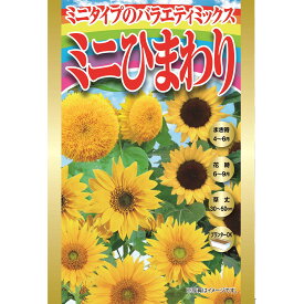 ミニひまわり アタリヤ農園 ミニタイプのバラエティミックス 花種 M