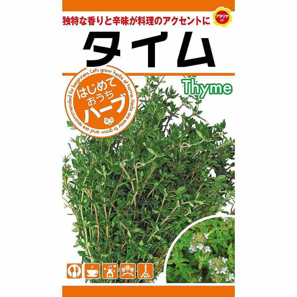 楽天市場 アタリヤ農園 ハーブ種 はじめておうちハーブ タイム M ワイズライフ