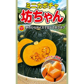 ミニカボチャ 坊ちゃん アタリヤ農園 カボチャ 種 カボチャ 種子 カボチャの種 ミニかぼちゃ 種 野菜種 M