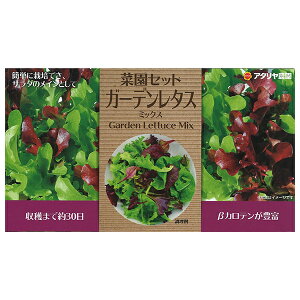 種 レタス 栽培 種の人気商品 通販 価格比較 価格 Com 種 レタス 栽培 種の人気商品 通販 価格比較 価格 Com