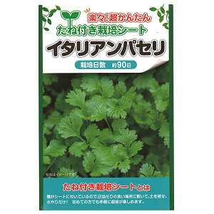 ハーブ イタリアンパセリ 種の人気商品 通販 価格比較 価格 Com